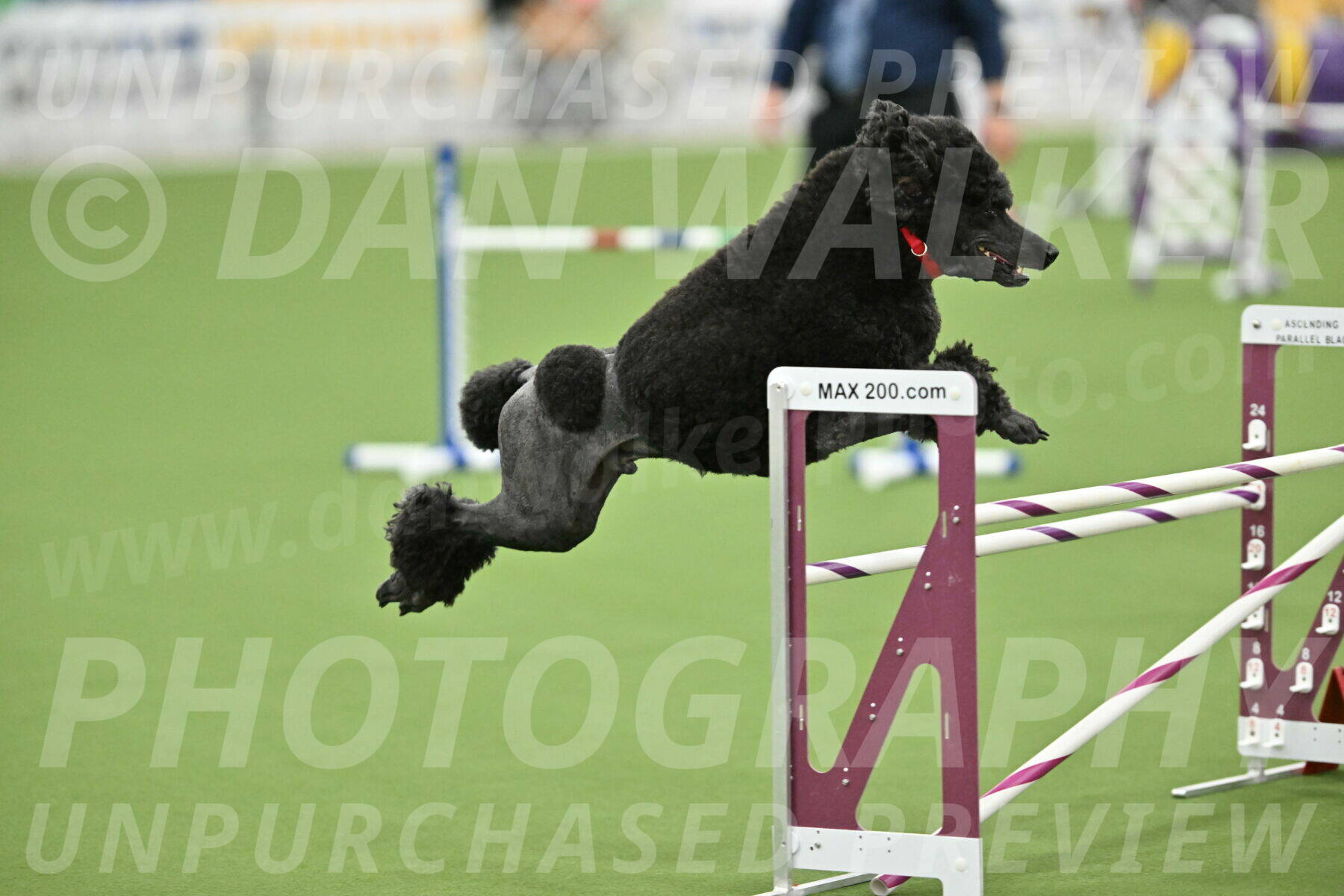 MAS-EX-STD-24-Inch_7865