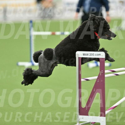 MAS-EX-STD-24-Inch_7865