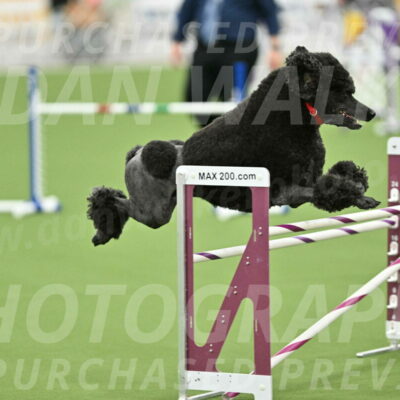 MAS-EX-STD-24-Inch_7866