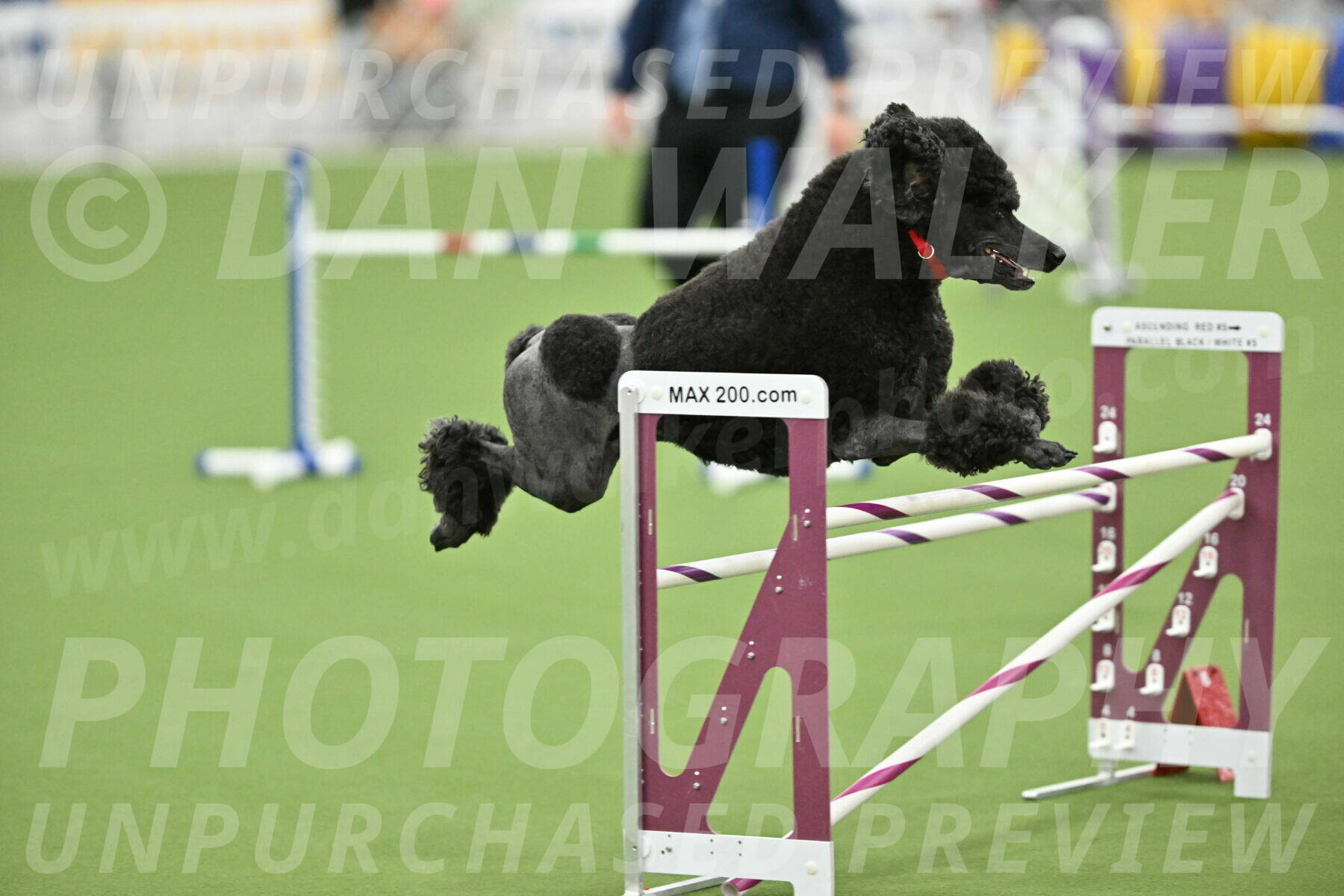 MAS-EX-STD-24-Inch_7866