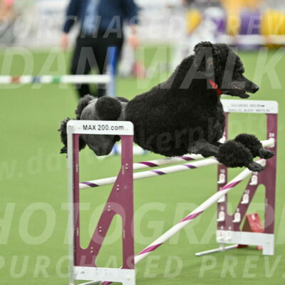 MAS-EX-STD-24-Inch_7867