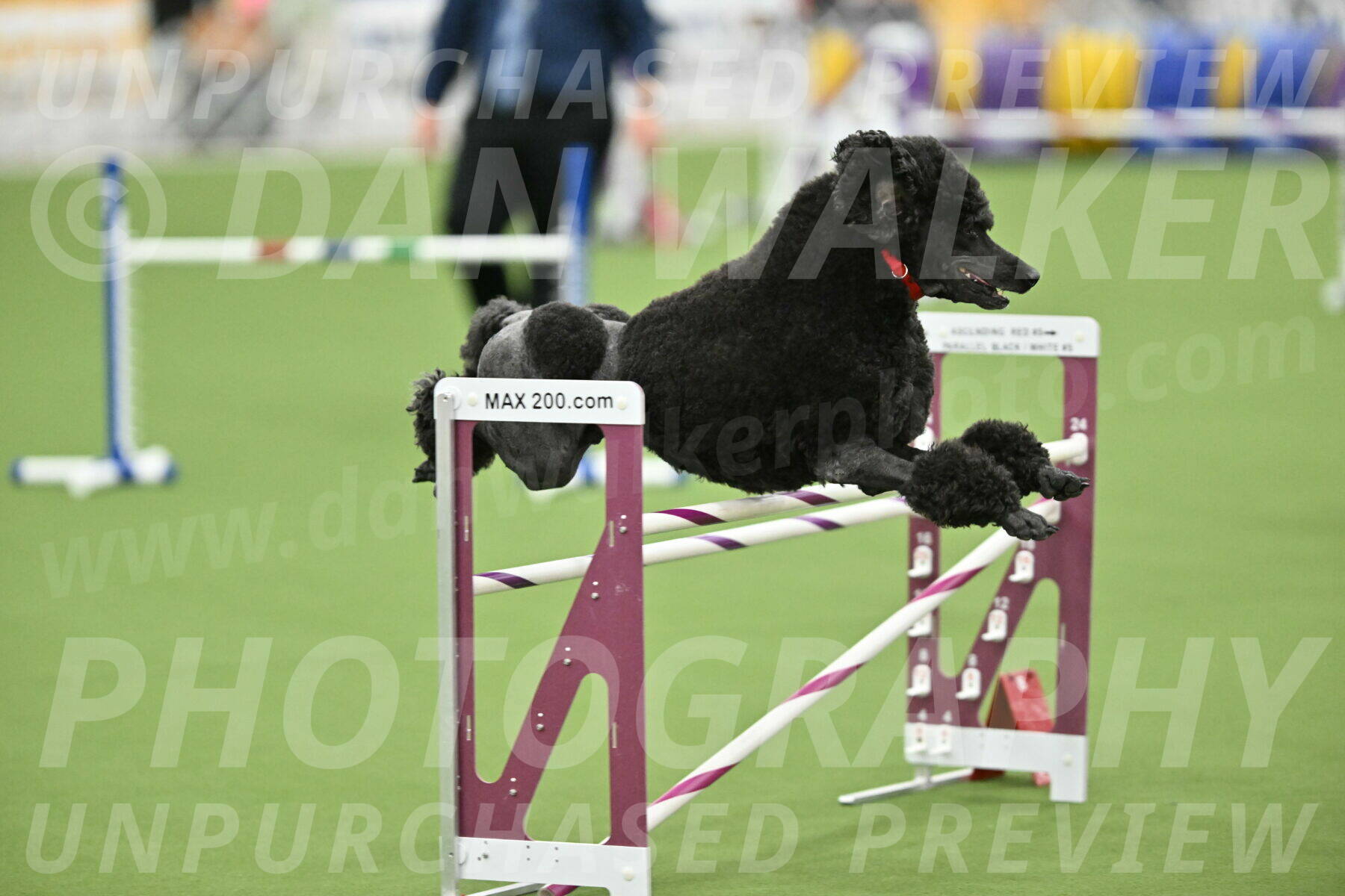 MAS-EX-STD-24-Inch_7867