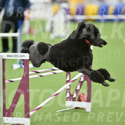 MAS-EX-STD-24-Inch_7868