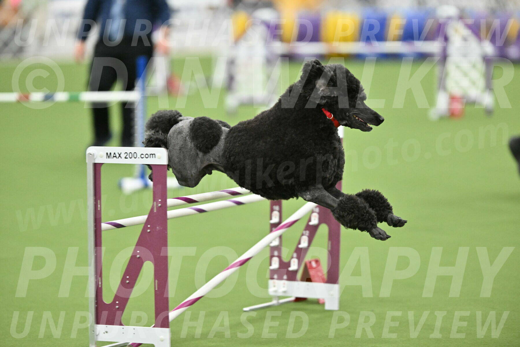 MAS-EX-STD-24-Inch_7868