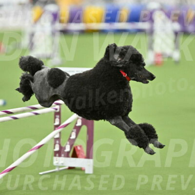 MAS-EX-STD-24-Inch_7869