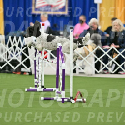 MAS-EX-STD-24-Inch_7888