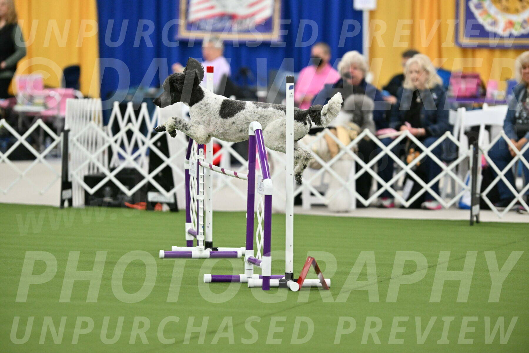 MAS-EX-STD-24-Inch_7888