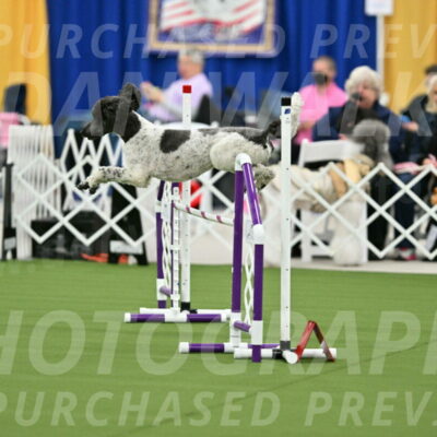 MAS-EX-STD-24-Inch_7889