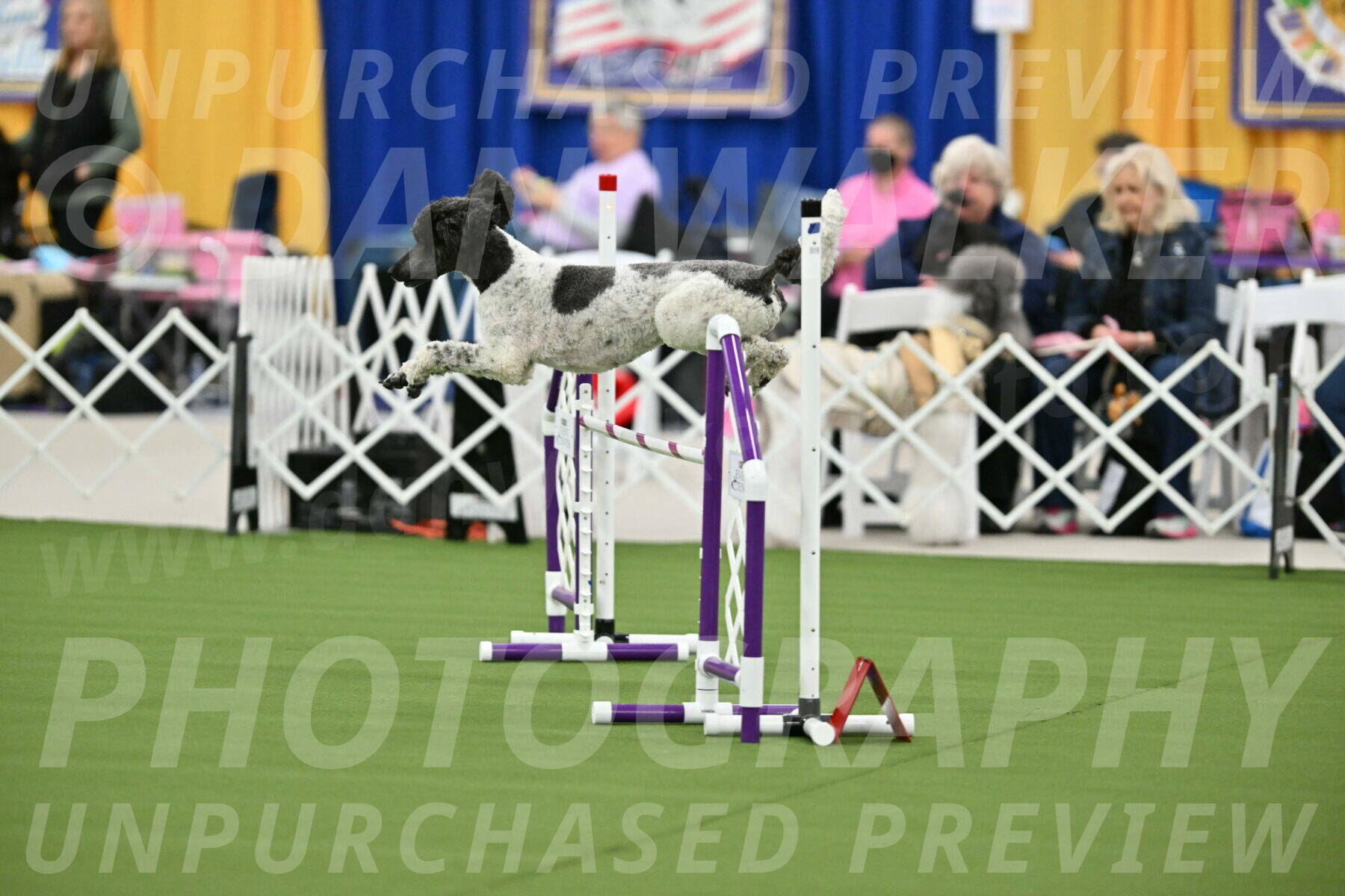 MAS-EX-STD-24-Inch_7889