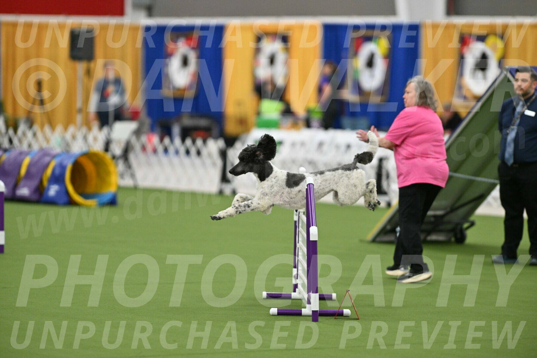 MAS-EX-STD-24-Inch_7895