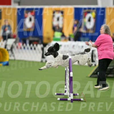 MAS-EX-STD-24-Inch_7895