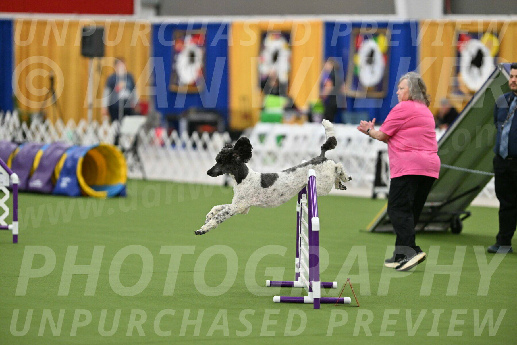 MAS-EX-STD-24-Inch_7896