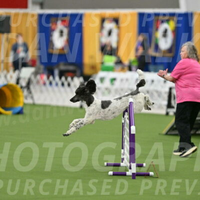 MAS-EX-STD-24-Inch_7896