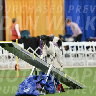 MAS-EX-STD-24-Inch_7897