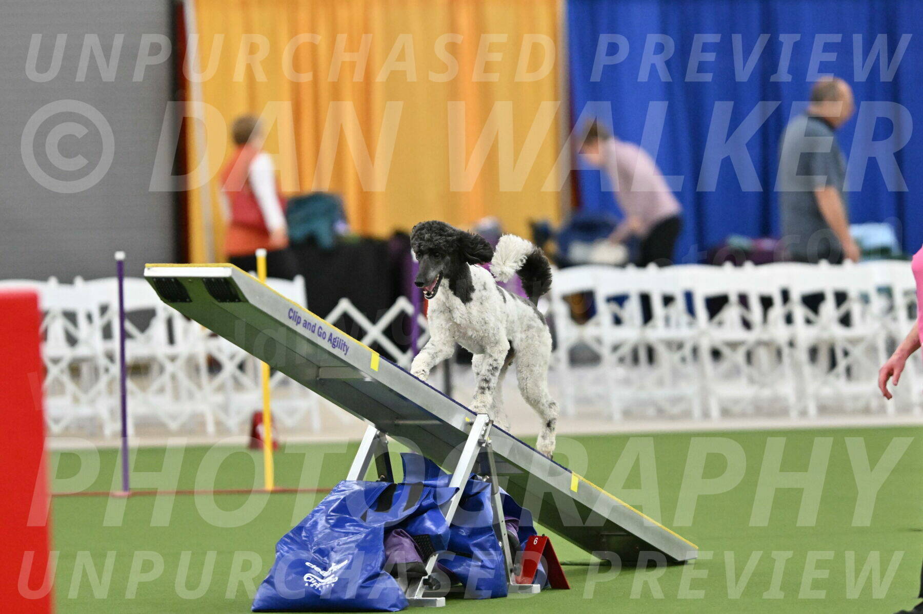 MAS-EX-STD-24-Inch_7897