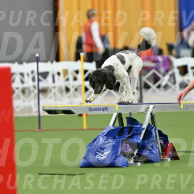 MAS-EX-STD-24-Inch_7903