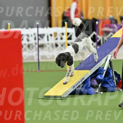 MAS-EX-STD-24-Inch_7907