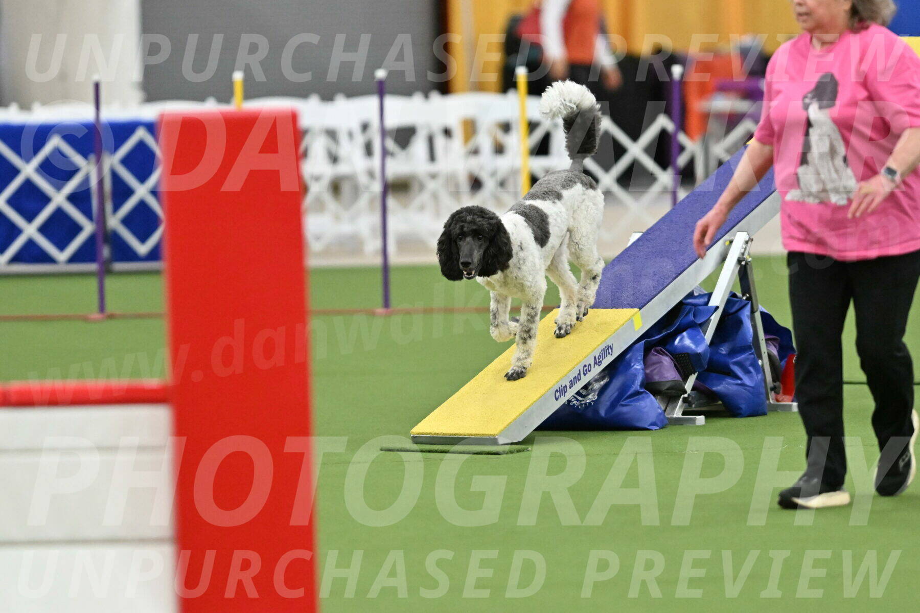 MAS-EX-STD-24-Inch_7909