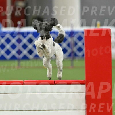 MAS-EX-STD-24-Inch_7912