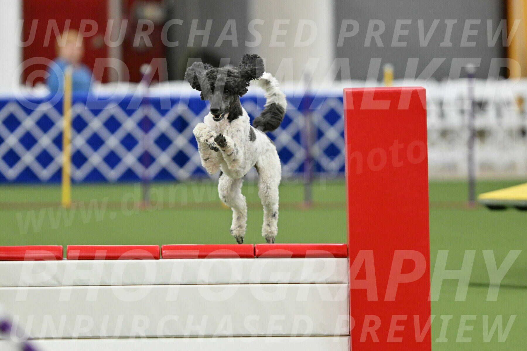 MAS-EX-STD-24-Inch_7912