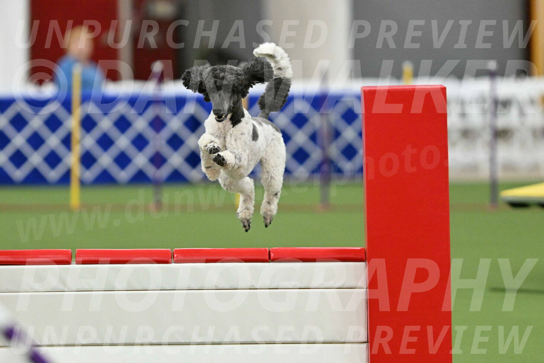 MAS-EX-STD-24-Inch_7913