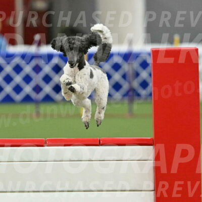 MAS-EX-STD-24-Inch_7913