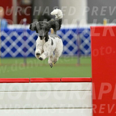 MAS-EX-STD-24-Inch_7914