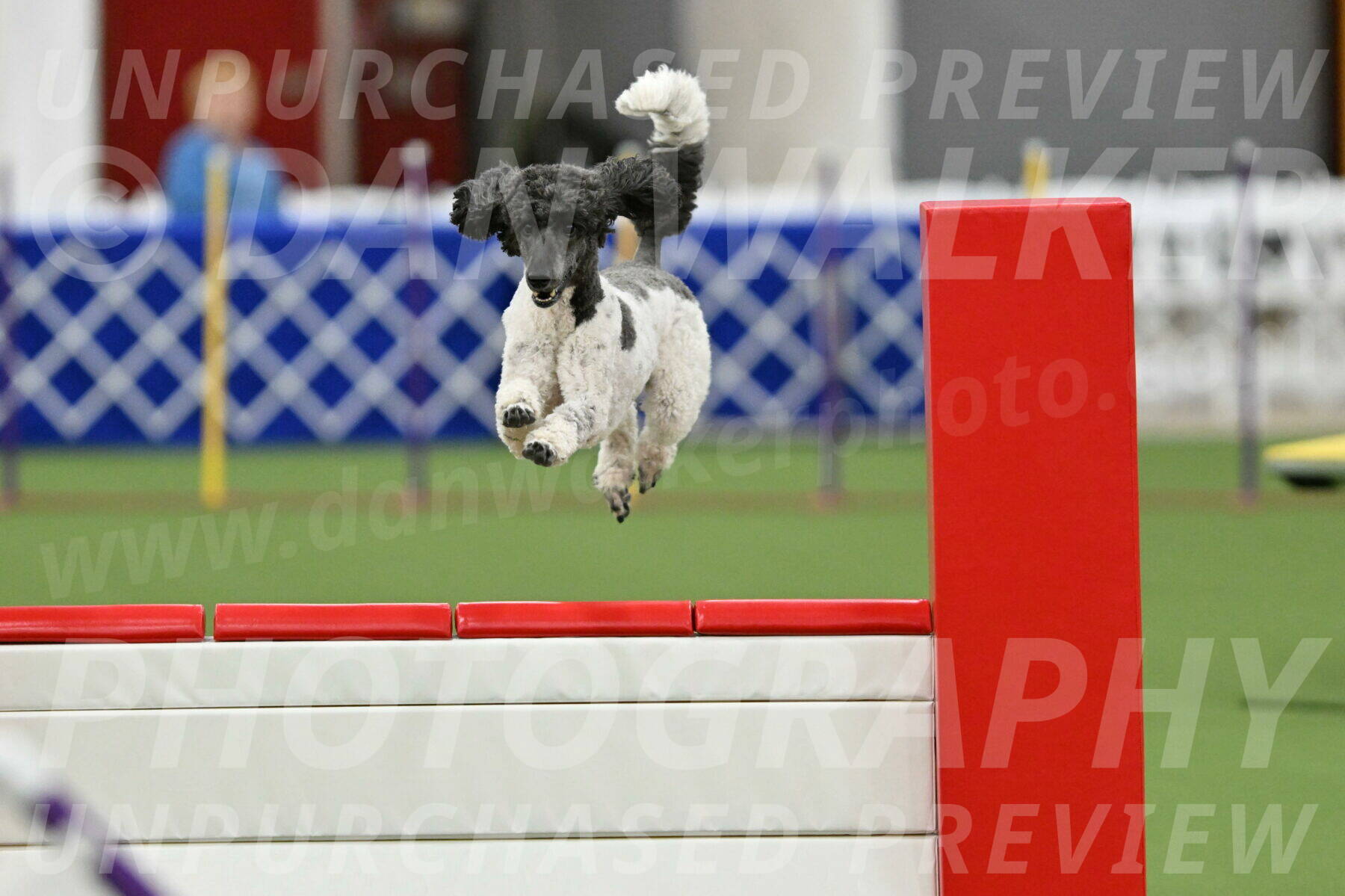 MAS-EX-STD-24-Inch_7914