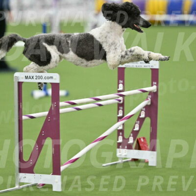 MAS-EX-STD-24-Inch_7918