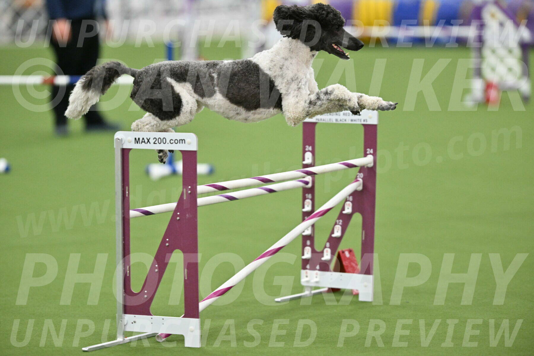 MAS-EX-STD-24-Inch_7918