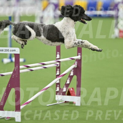 MAS-EX-STD-24-Inch_7919