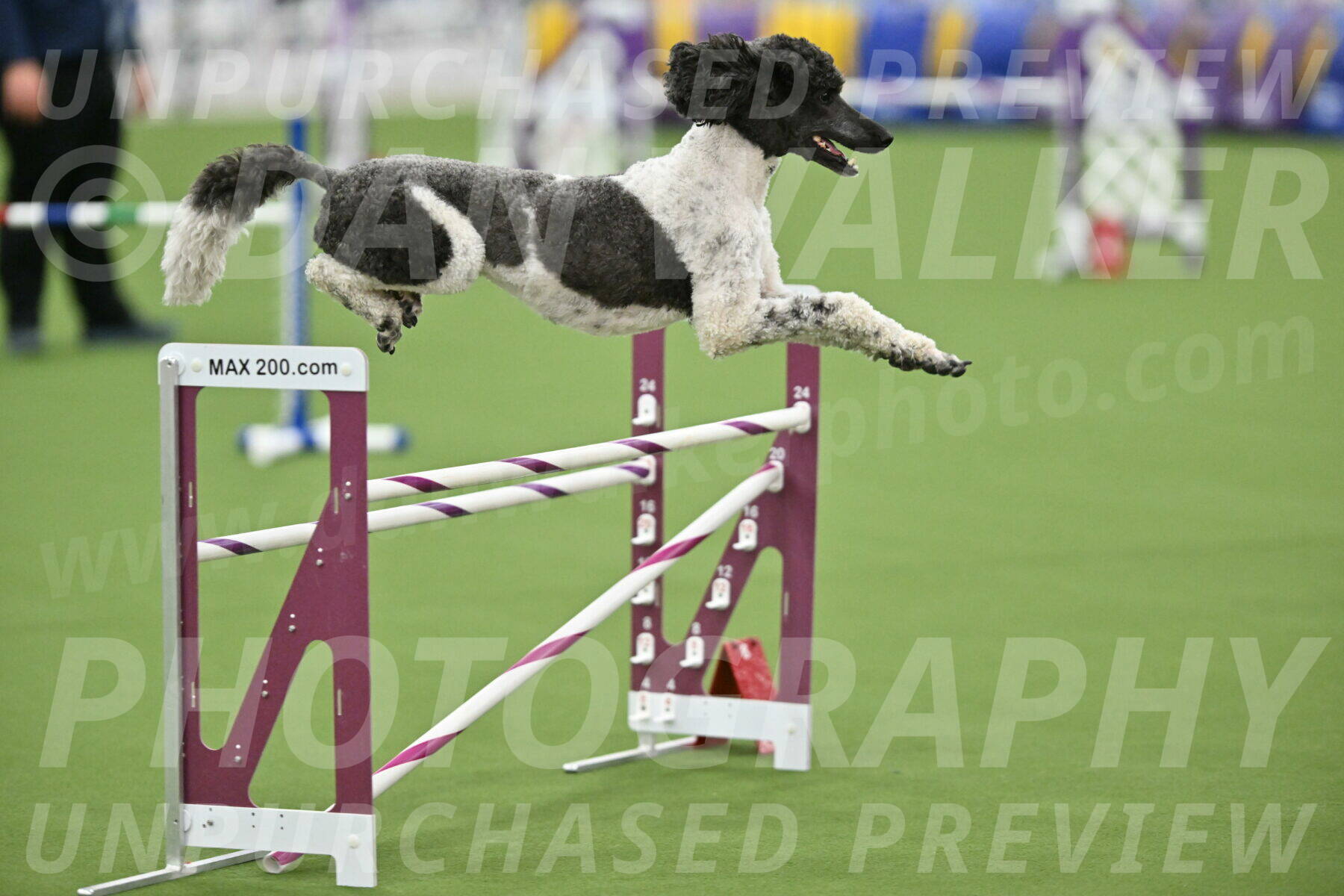 MAS-EX-STD-24-Inch_7919