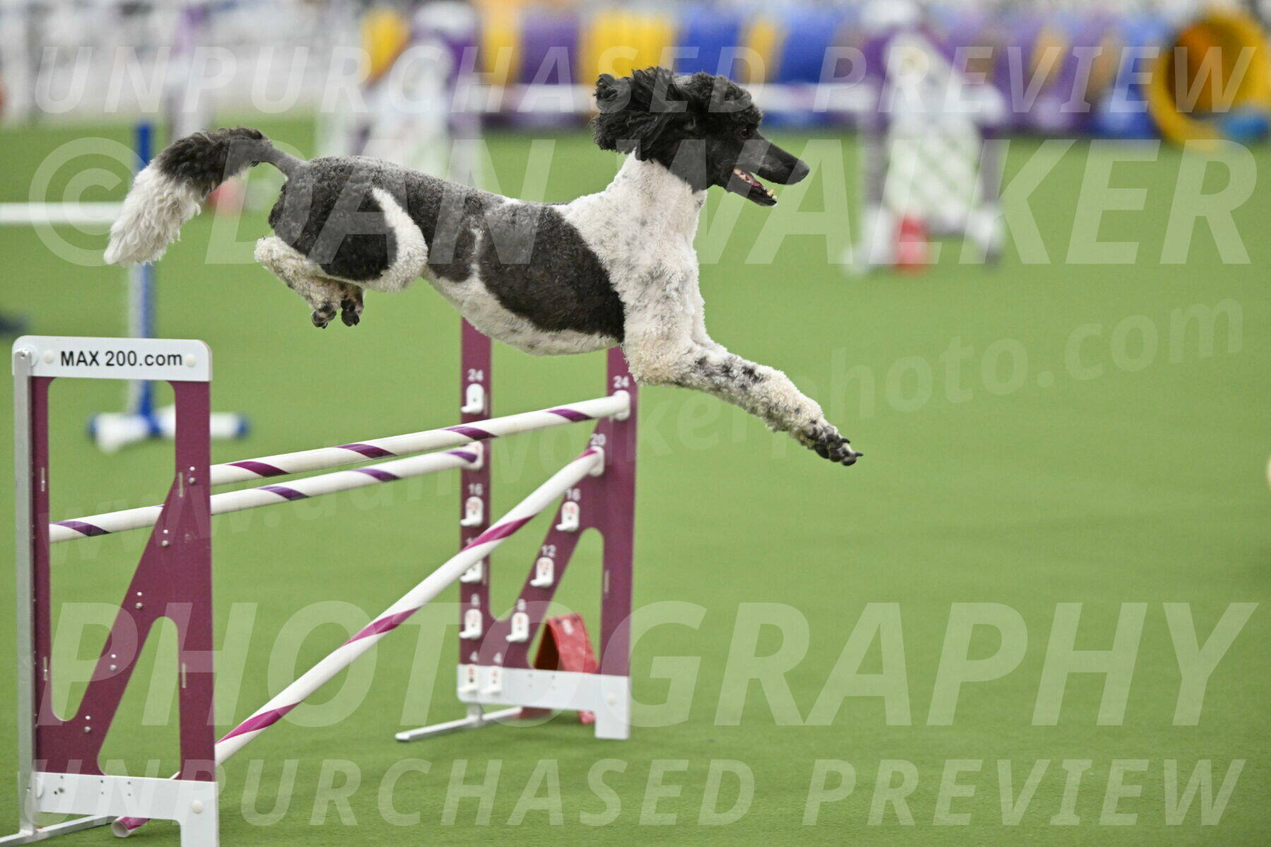 MAS-EX-STD-24-Inch_7920