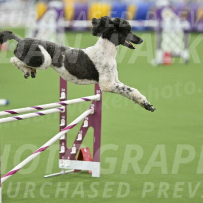 MAS-EX-STD-24-Inch_7920