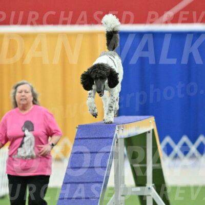 MAS-EX-STD-24-Inch_7921