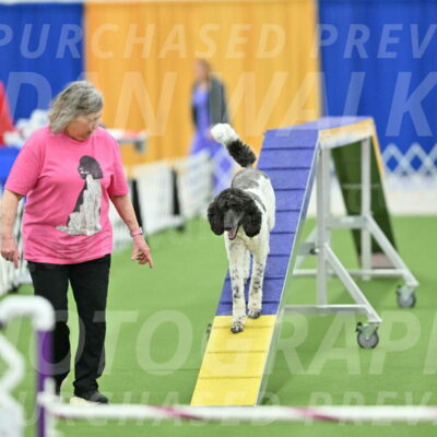 MAS-EX-STD-24-Inch_7930