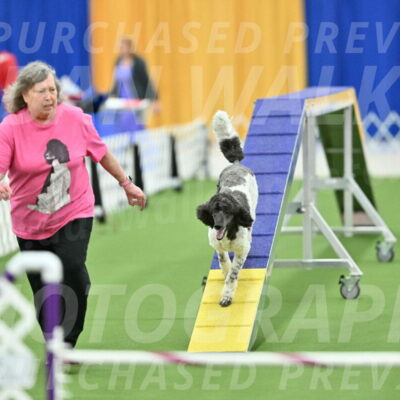 MAS-EX-STD-24-Inch_7937