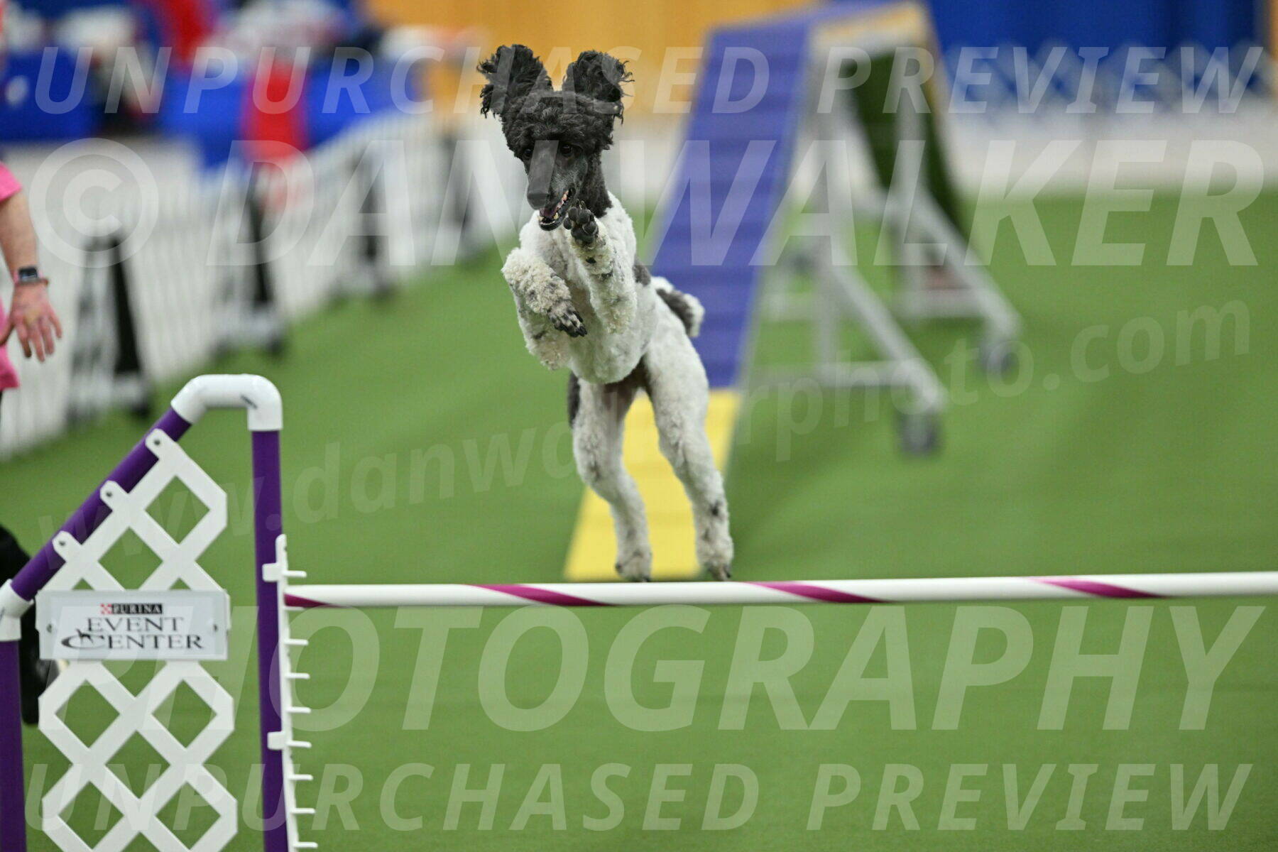 MAS-EX-STD-24-Inch_7943