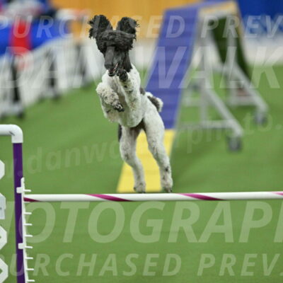 MAS-EX-STD-24-Inch_7943