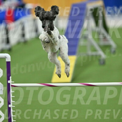 MAS-EX-STD-24-Inch_7944