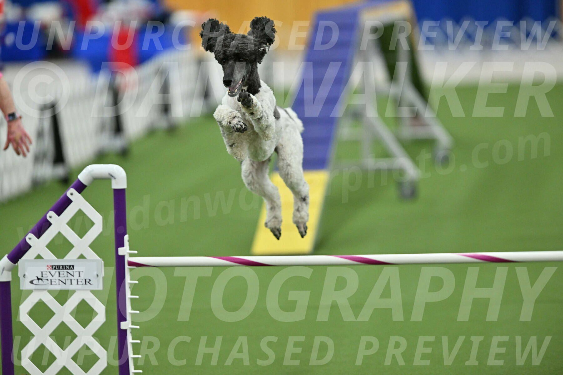 MAS-EX-STD-24-Inch_7944