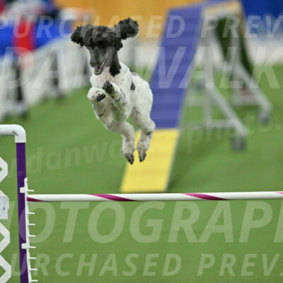 MAS-EX-STD-24-Inch_7945