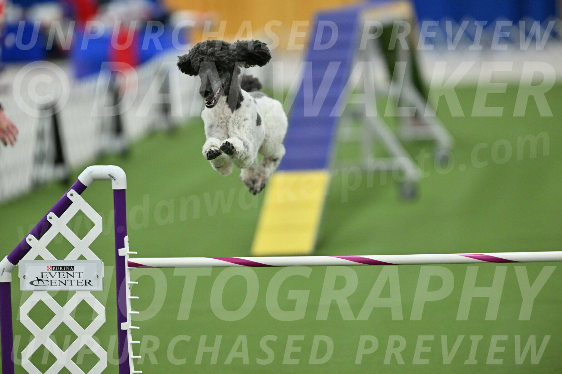 MAS-EX-STD-24-Inch_7946