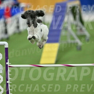 MAS-EX-STD-24-Inch_7946