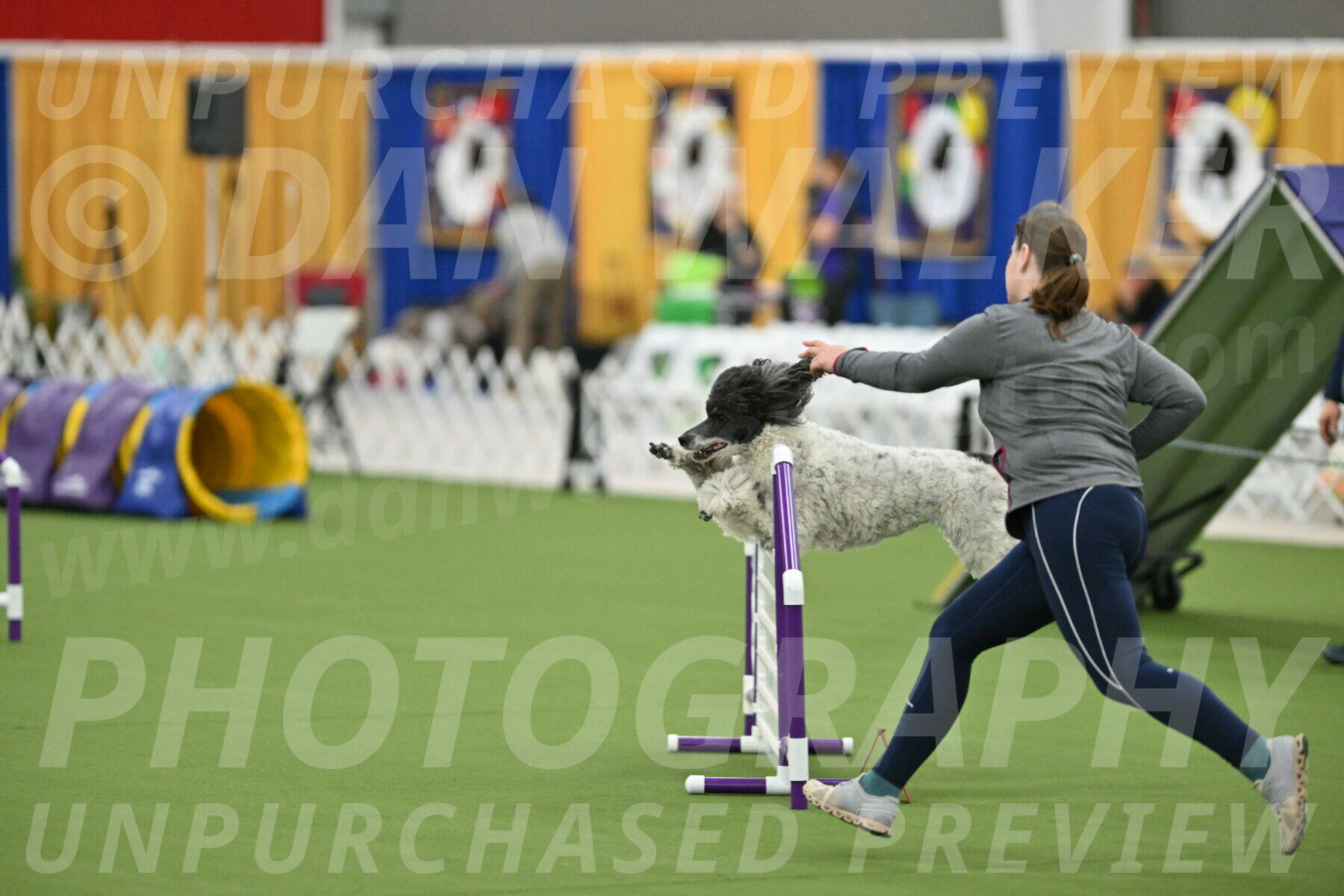 MAS-EX-STD-24-Inch_7953