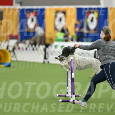 MAS-EX-STD-24-Inch_7953