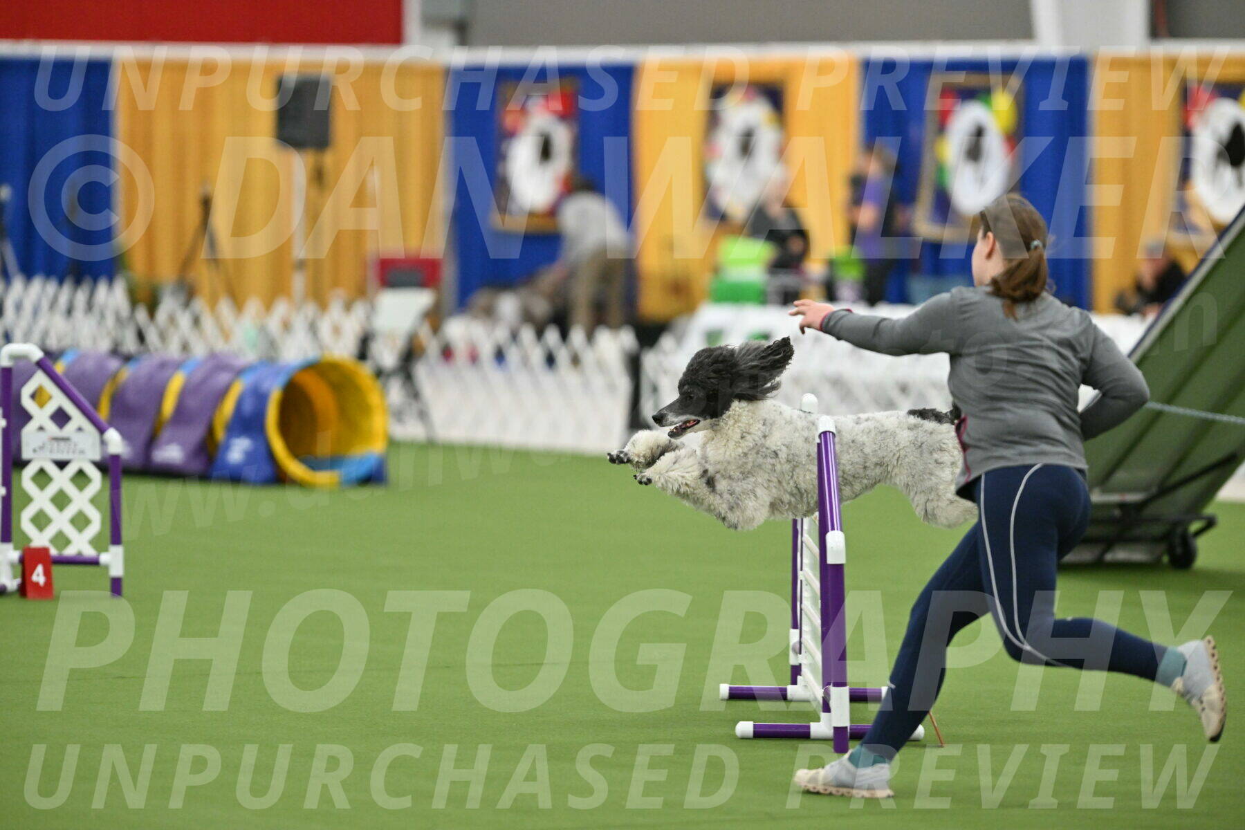 MAS-EX-STD-24-Inch_7954