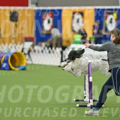 MAS-EX-STD-24-Inch_7954