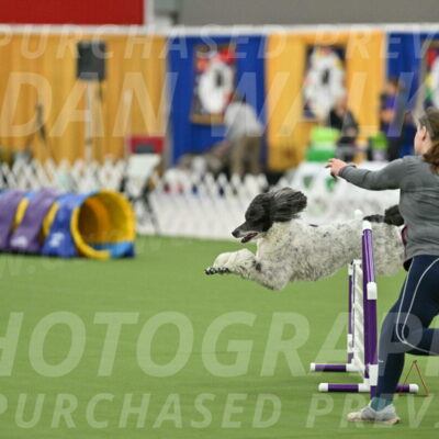 MAS-EX-STD-24-Inch_7955