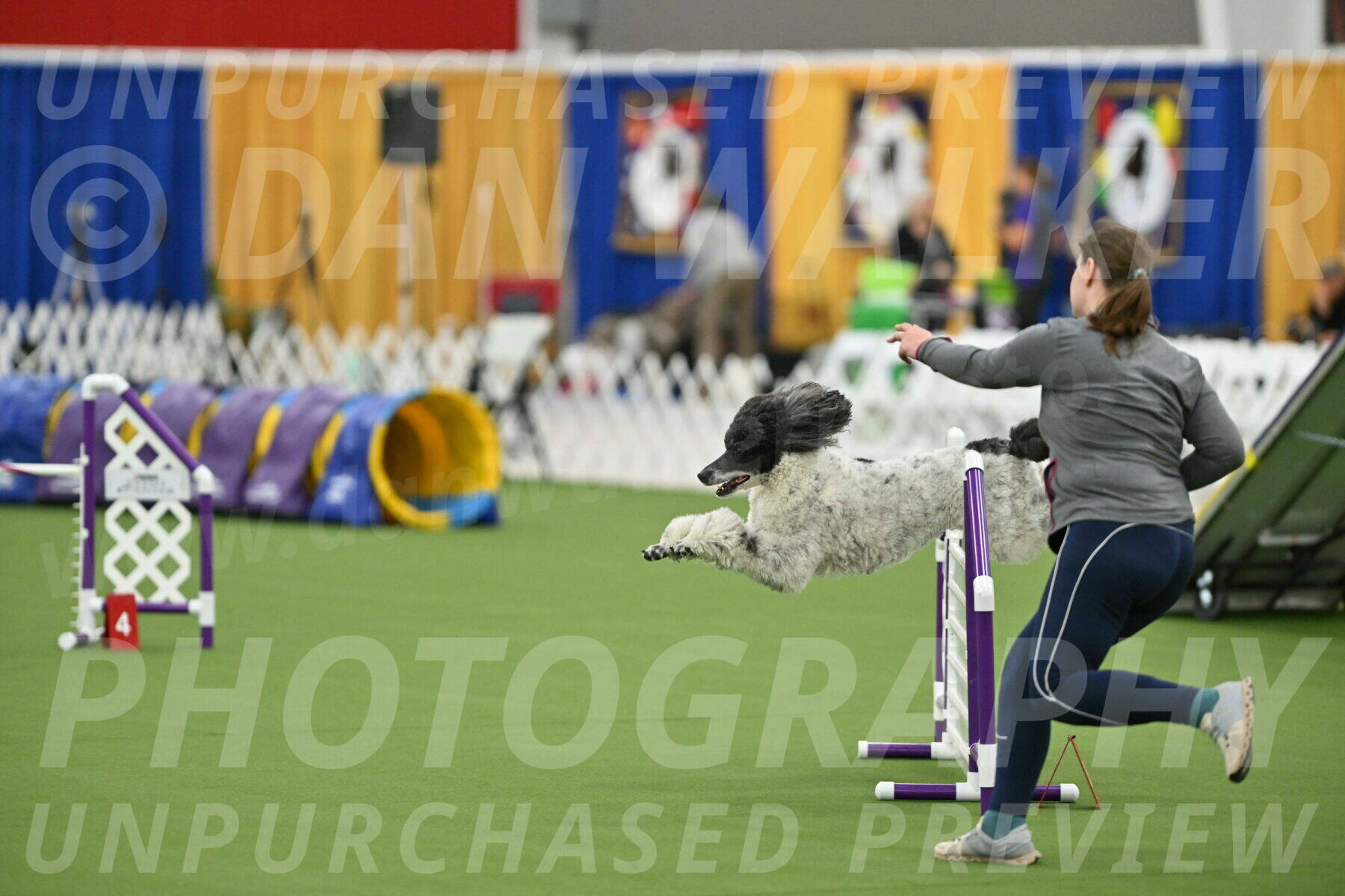 MAS-EX-STD-24-Inch_7955